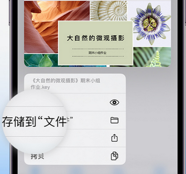 永康apple维修中心分享iPhone文件应用中存储和找到下载文件