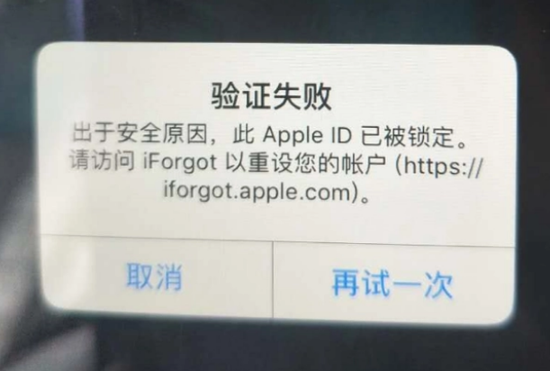 永康iPhone维修分享iPhone上正常登录或使用AppleID怎么办 