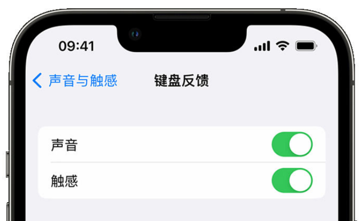 永康苹果手机维修分享iPhone 14触感键盘使用方法 