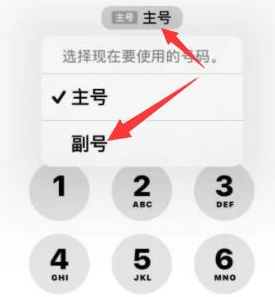 永康苹果14维修店分享iPhone 14 Pro Max使用副卡打电话的方法 