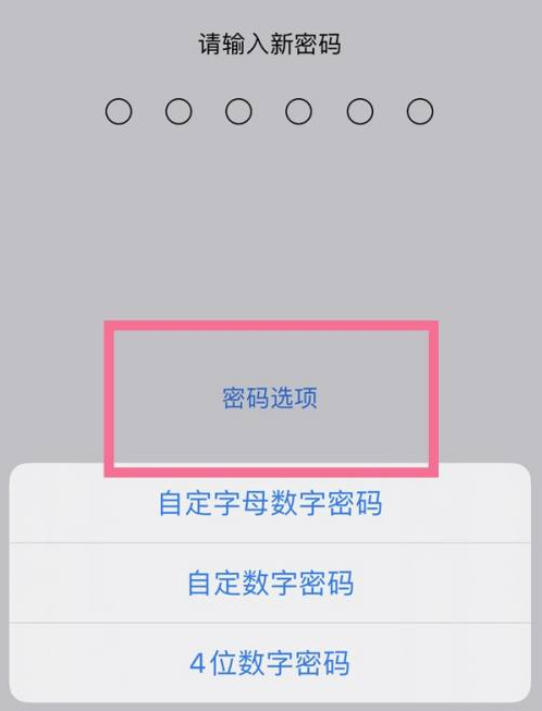 永康苹果14维修分享iPhone 14plus设置密码的方法 