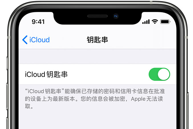 永康苹果手机维修分享在 iPhone 上开启 iCloud 钥匙串之后会储存哪些信息 