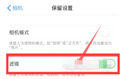永康苹果13维修分享iPhone13拍照有绿点是怎么回事 
