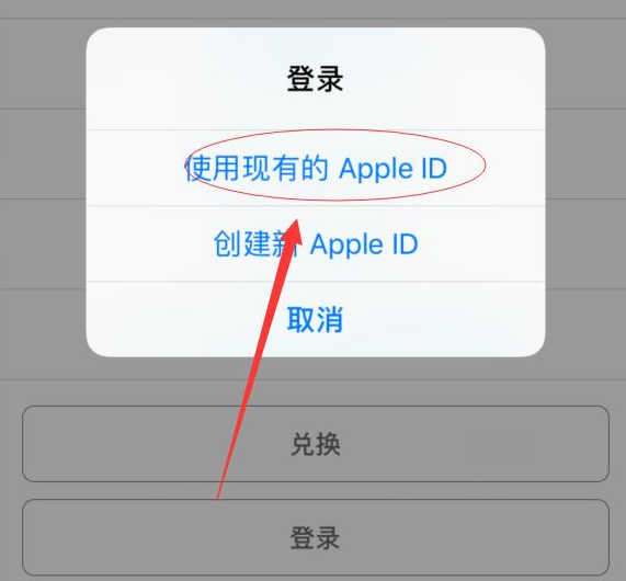 永康苹果手机维修分享两台iPhone设备可以同时登录一个Apple ID吗 