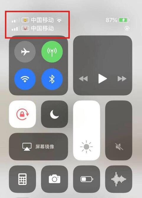 永康苹果手机维修分享为 iPhone 12 双卡设置标签 